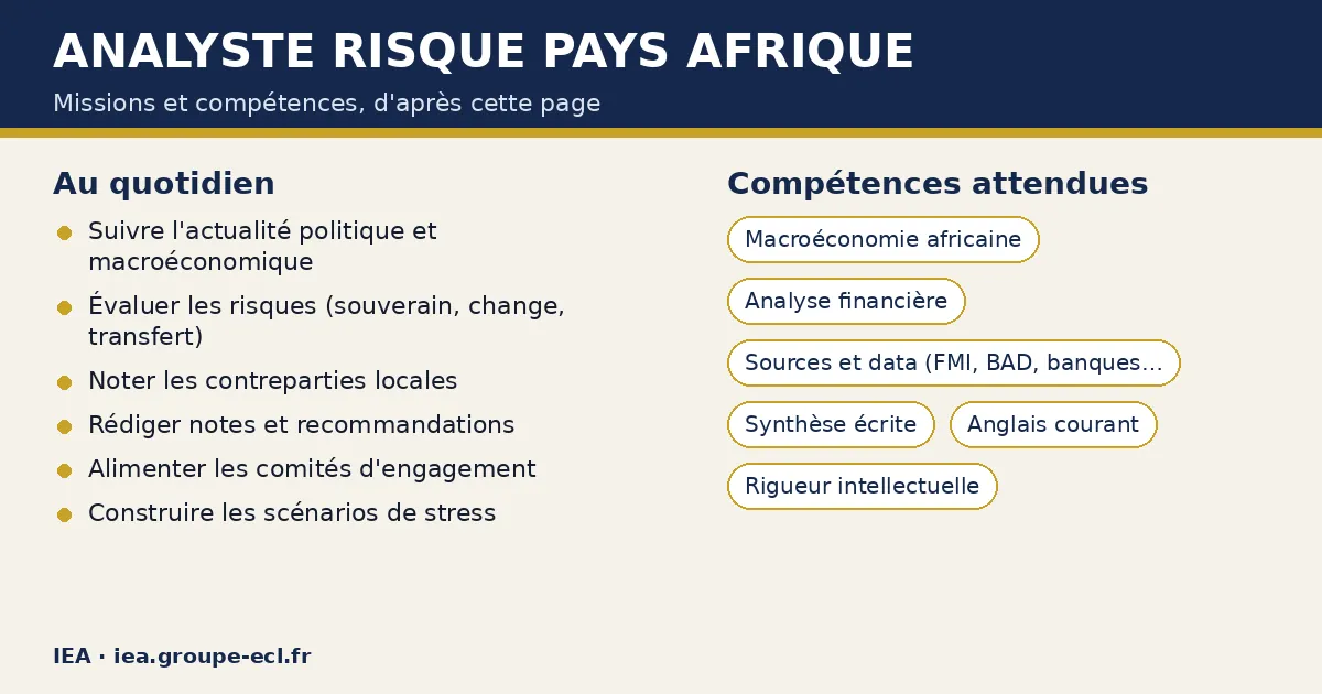 Schéma : Analyste risque pays Afrique — missions : Suivre l'actualité politique et macroéconomique, Évaluer les risques (souverain, change, transfert), Noter les contreparties locales ; compétences : Macroéconomie africaine, Analyse financière, Sources et data (FMI, BAD, banques centrales).