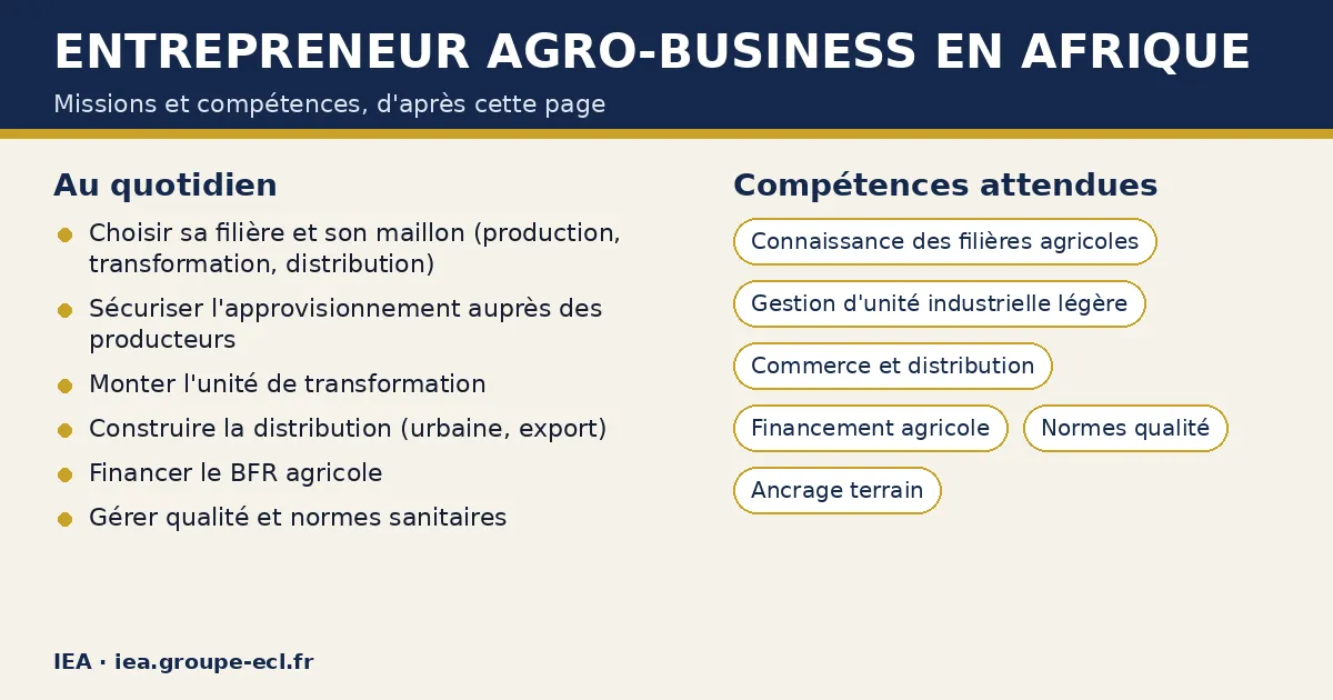 Schéma : Entrepreneur agro-business en Afrique — missions : Choisir sa filière et son maillon (production, transformation, distribution), Sécuriser l'approvisionnement auprès des producteurs, Monter l'unité de transformation ; compétences : Connaissance des filières agricoles, Gestion d'unité industrielle légère, Commerce et distribution.